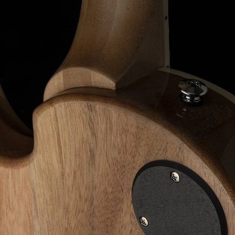 PRS SE Zach Myers Signature Semi-Hollow – أزرق مايرز
