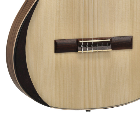 Manuel Rodríguez ECOLOGÍA Samba Plano E-Acoustic