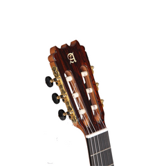 Alhambra 10 Fp headstock front close-up, rosewood veneer with gold tuners