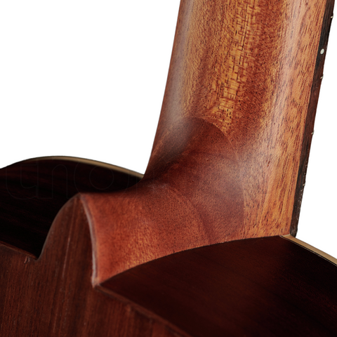 Alhambra Classical Guitar 1 C HT  -  Hybrid Terra