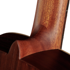Alhambra 1C HT Classical Guitar - Hybrid Terra