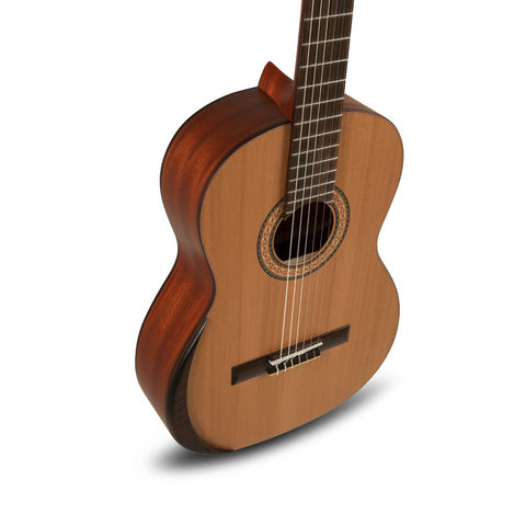 Manuel Rodríguez TRADICIÓN T-65 Classical Guitar 4/4
