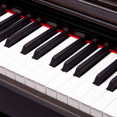 Pearl River V‑05 Digital Piano – Rosewood
