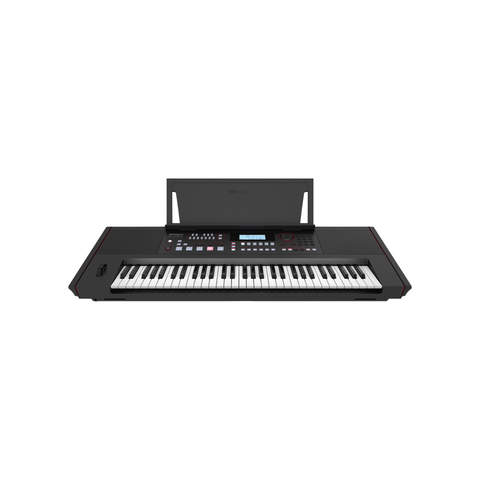 Roland E-X50 Arranger Keyboard - Black
