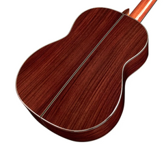 Cordoba C10 CD headstock rear close-up angled, rosewood back with visible neck join