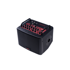 Joyo BSK-40 Acoustic Guitar Amplifier – Black