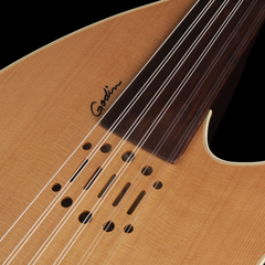 Godin MultiOud soundhole close-up, natural spruce top with Godin logo and rosette