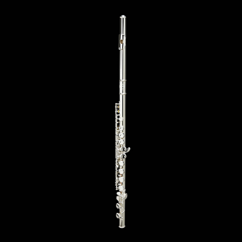 Grassi GR FL20SK Student Flute Kit with Double Headjoint