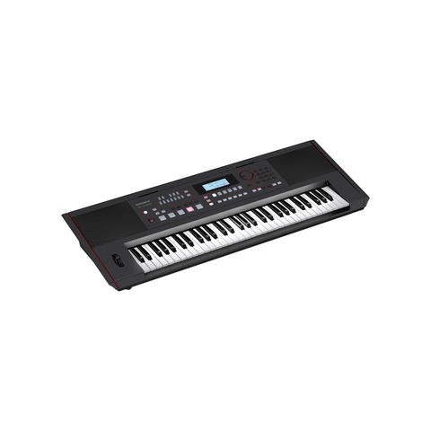 Roland E-X50 Arranger Keyboard - Black