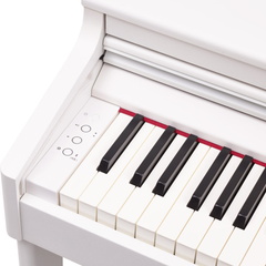 Roland RP701 Digital Piano – White