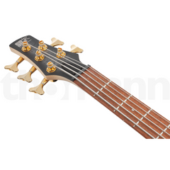 جيتار الباس الكهربائي ذو 5 أوتار Ibanez SR305EDX-BZM