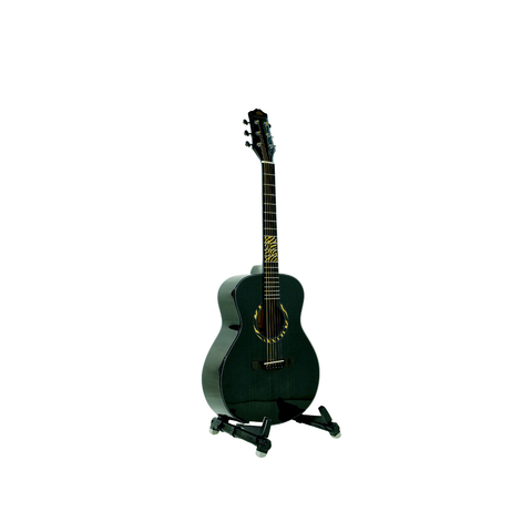 Steiner AG-M12 Acoustic Guitar – Black