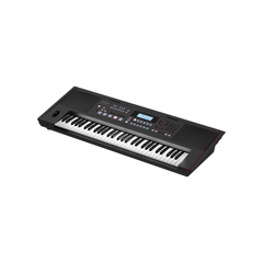 Roland E-X50 Arranger Keyboard - Black