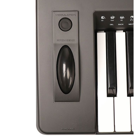 Medeli A810 61-Key Arranger Keyboard