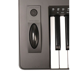 Medeli A810 61-مفتاح لوحة مفاتيح Arranger