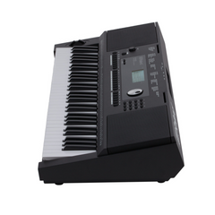 Roland E-X20 Portable 61 Key Arranger Keyboard - Black
