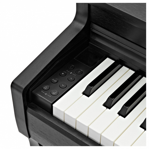 Kawai CN201B Digital Piano with Free Bench - Black