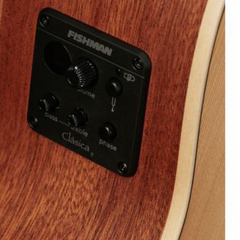 Alhambra Z-Nature CW EZ Fishman Clasica II preamp panel close-up on rim