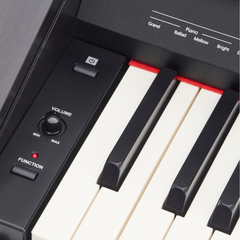 Roland RP30 Digital Piano - Dark Rosewood