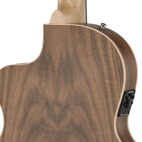 Manuel Rodríguez ECOLOGÍA Samba Plano E-Acoustic