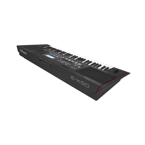 Roland E-X50 Arranger Keyboard - Black