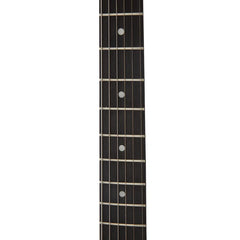 Blackbird Auriga A100 Raven Electric Guitar - Flat Black