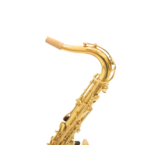 Heinrich GSW-01 Alto Saxophone with Case - Gold
