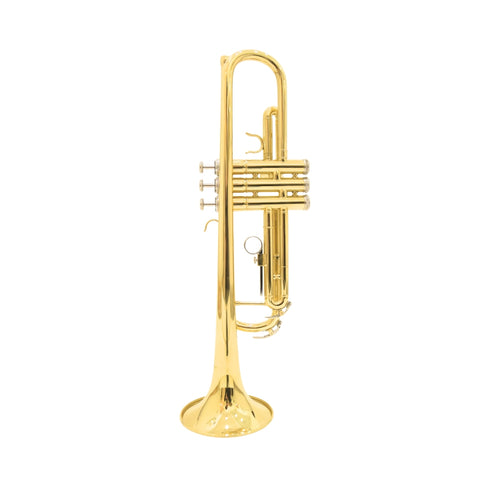 Heinrich GSW-06 Trumpet with Case - Gold