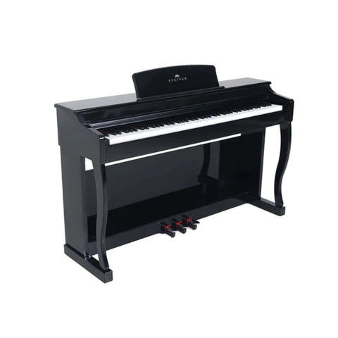 Steiner Digital Piano DP-800v2 - Black