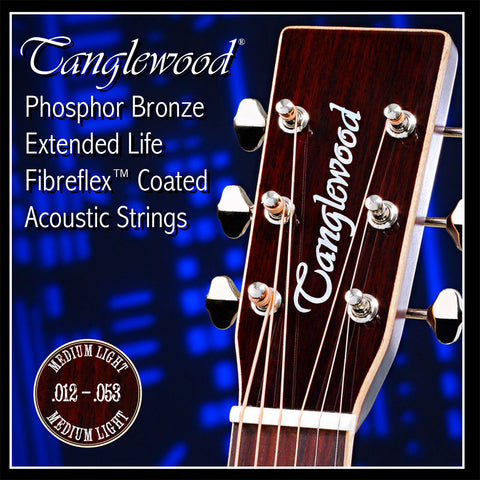 Tanglewood TWGS-11 Acoustic Guitar Strings