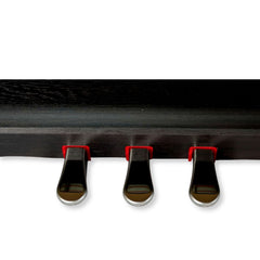 Steiner DP-1400BN Digital Piano – Brown