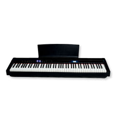Steiner P-125B Portable Keyboard – Black