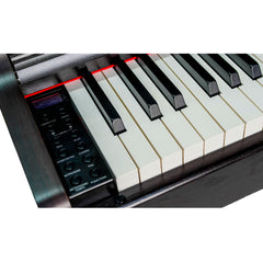 Steiner DP-250 Digital Piano – Brown