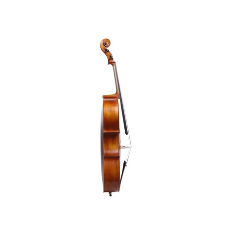 Franz Sandner SC-6 Cello 3/4 - Natural