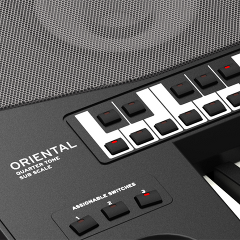 Korg Pa700 ORIENTAL - Professional Arranger Keyboard