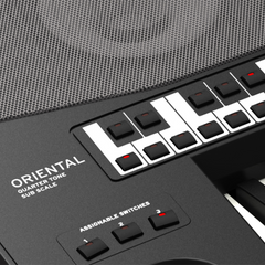 Korg Pa700 Oriental - لوحة مفاتيح الأورغن (Arranger Keyboard)