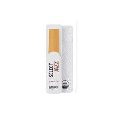 D'Addario Saxophone Reed RRS10ASX2M Alto Med 2 - Single Unit | Melodica Music Store Dubai