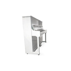 Steiner DP-500 Digital Piano - White