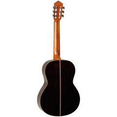 Tanglewood EMD3 Dominar classical guitar back view, rosewood body