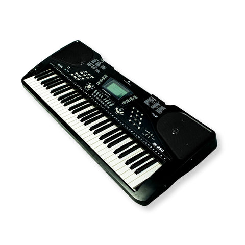 Steiner SK-250 Arranger Keyboard – Black