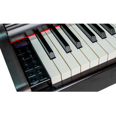 Steiner DP-250 Digital Piano – Brown