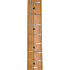 Blackbird A200 Great Egret Electric Guitar with Hard Case - Olympic White