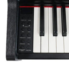 Steiner DP-250 Digital Piano – Black