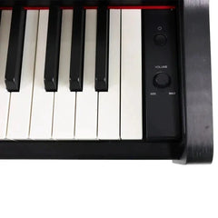 Steiner DP-250 Digital Piano – Black