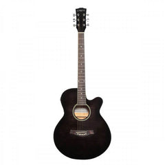 Semi Acoustic Guitar