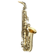 Grassi-Alto Saxophone Kit - GR-AS20-SK