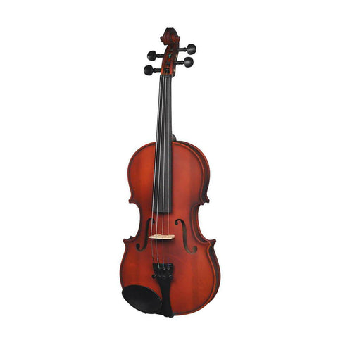 violin instrument
