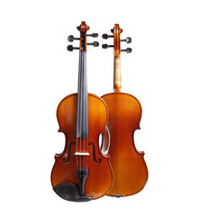 violin instrument