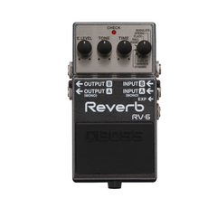 Roland Guitar Effects RV-6(B) | Melodica Music Store Dubai