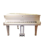 Yamaha Grand Piano G!  (Renewed)